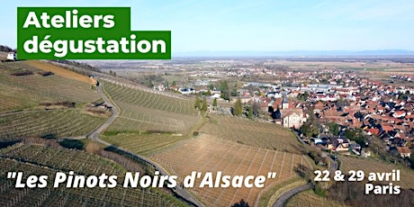À la découverte des Pinots noirs d'Alsace