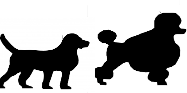 Boulder County 4-H Responsible Dog Ownership