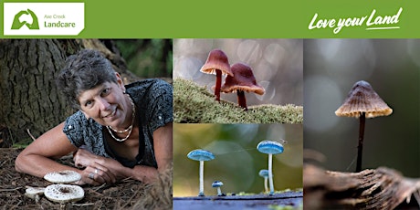 Fungus Discovery Workshop with Alison Pouliot tickets