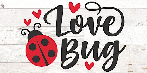 LOVE BUGS VACATION