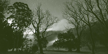 Nocturnal landscapes with Garry Daley | Bundanon Field Days primary image