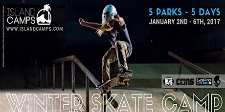 Winter Skate Camp primary image