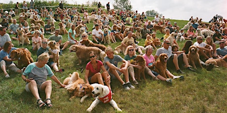Second Largest Gathering of Golden Retrievers