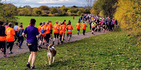 Shape Up For Summer 'Couch to 5K' at Hanham Common primary image