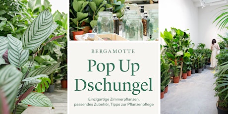 Imagen principal de Pop Up Dschungel // Basel