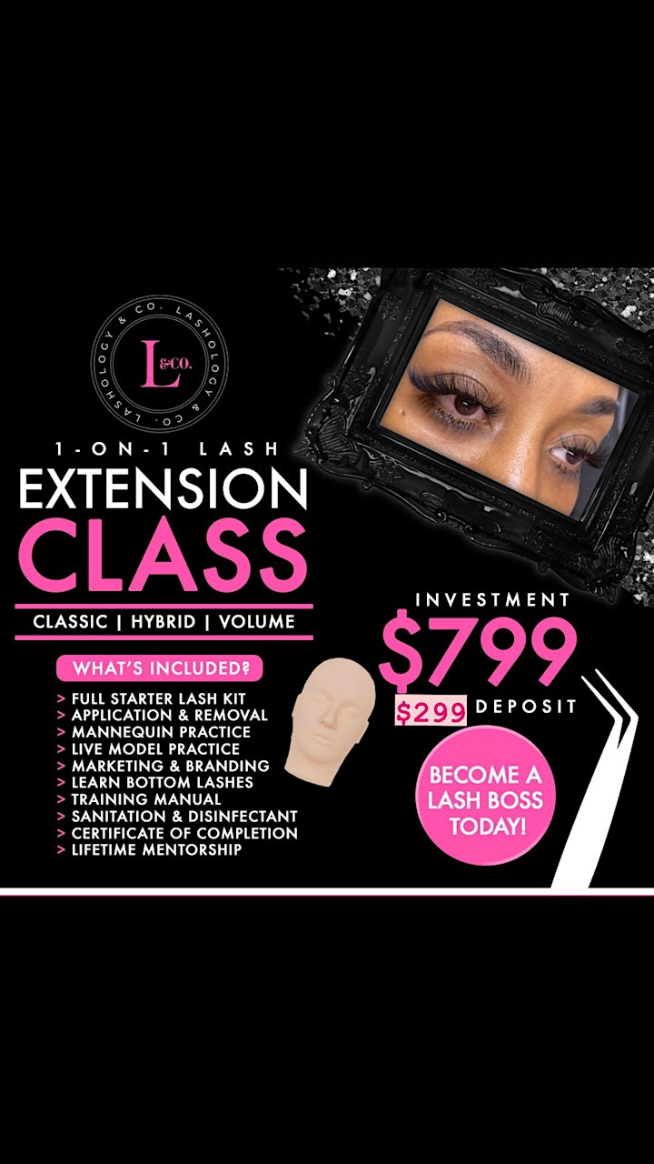 1-ON- 1 LASH EXTENSION CLASS image