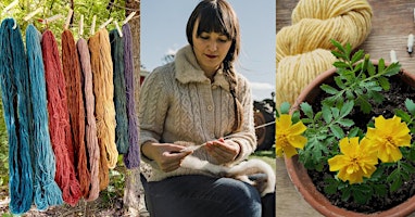 Yarn Dyeing with Alejandra Sanchez from Three Rivers Fibershed