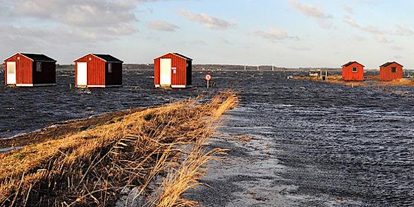 Nordic Cities Workshop on Planning for Climate Change Adaptation