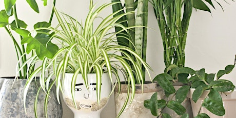 Happy House Plants with Emma Northey primary image