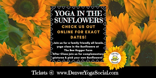 Yoga in the Sunflowers at the Bee Hugger Farm in Longmont, Colorado
