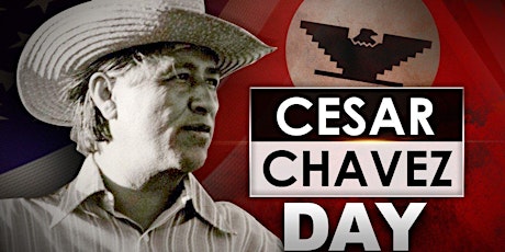Cesar Chavez Creek Invasive Plant Removal primary image