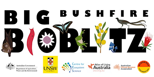Big Bushfire BioBlitz