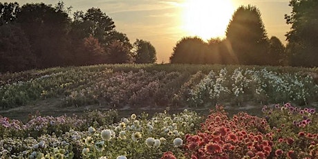 2022 American Grown Field to Vase Dinner @ Summer Dreams Farms, Oxford, MI tickets