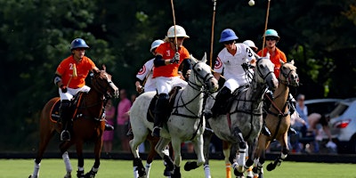 Ladies Day - Piper Heidsieck Tournament -Sunday Polo