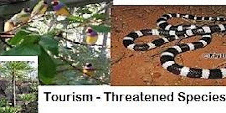 Tourism Opportunities that Support Threatened Species primary image