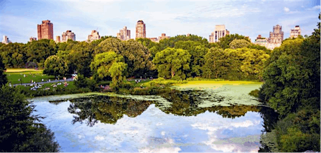 New York City's Central Park: Bethesda Fountain, Bow Bridge and The Lake