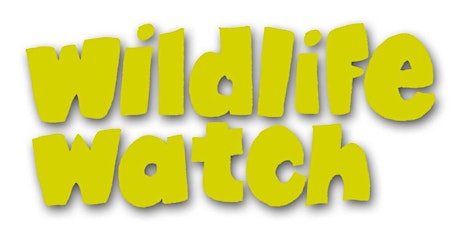 Wildlife Watch - Autumn Colours (2yrs+)