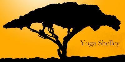 Hatha Yoga Class Shelley Paterson Cost