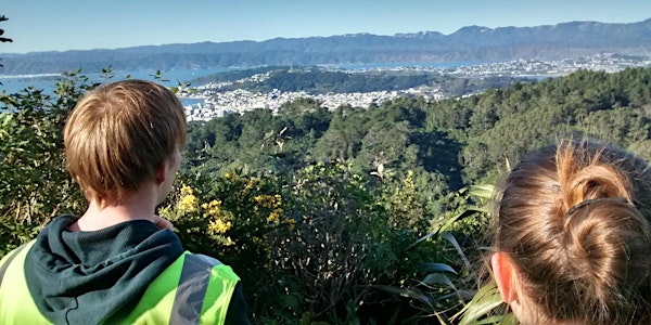 A Forest at the Heart of Wellington - Strategy Workshop