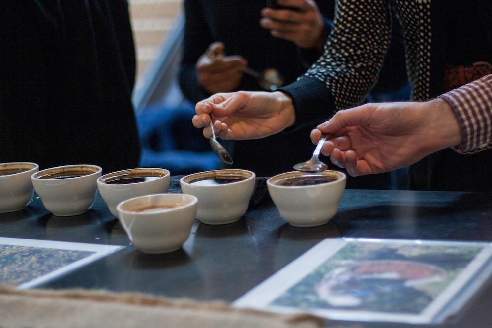 Free Coffee Cupping & Roastery Tour (Tuesdays)