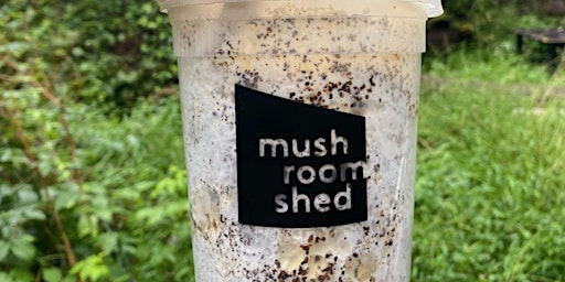 Mushroom Shed: Connect, Gather, Share, Grow with Amanda Heidel primary image