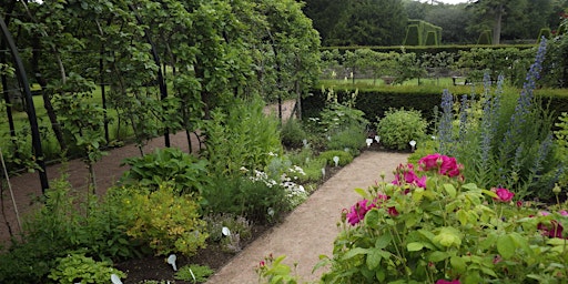 Herb Garden Tour & Talk - Pitmedden Garden