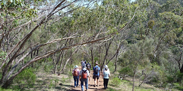 School holidays: Exploring nature in Sturt Gorge Wednesday 27th April