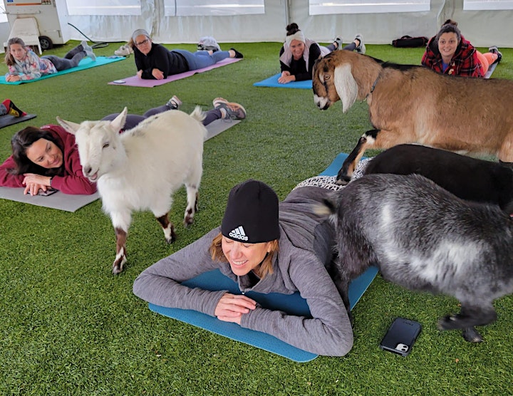Goat Yoga @ Good Green Earth Farm: 4th Fridays image