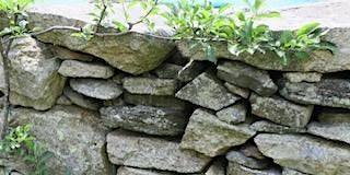 Hands on Skills to Repair  Old Farm Walls in our Gardens-Brian Fairchild