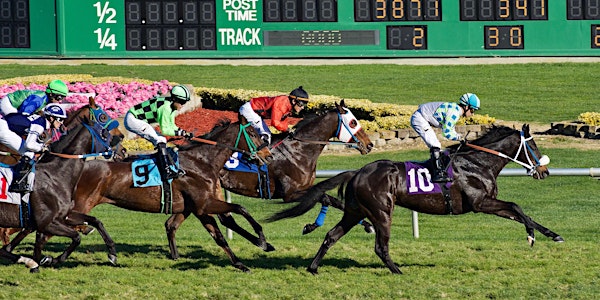 Lunch, Learn, and Bet at Golden Gate Fields with Roundstone Solutions