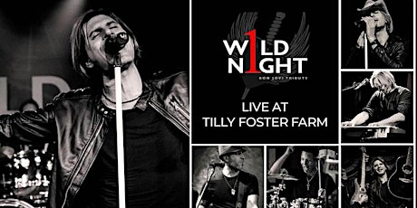 1 Wild Night LIVE at Tilly's Table tickets
