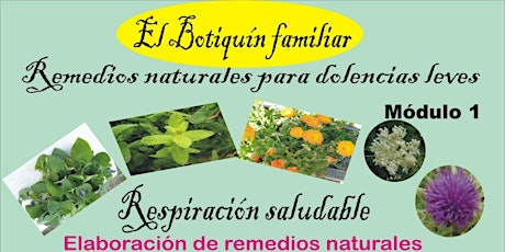 Imagen principal de Plantas medicinales para el botiquín familiar: Respiración saludable (Módulo1)