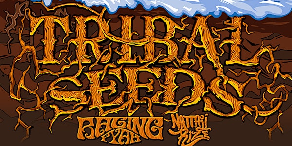 Tribal Seeds at The Mateel (January 28, 2016)