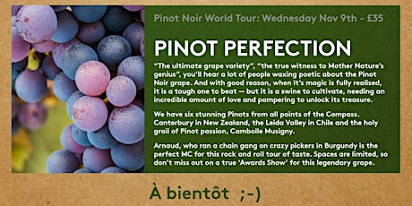 Pinot Noir Perfection: World tour Wednesday Nov 9th - £35 primary image