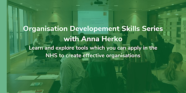 Organisation Development Skills Series with Anna Herko