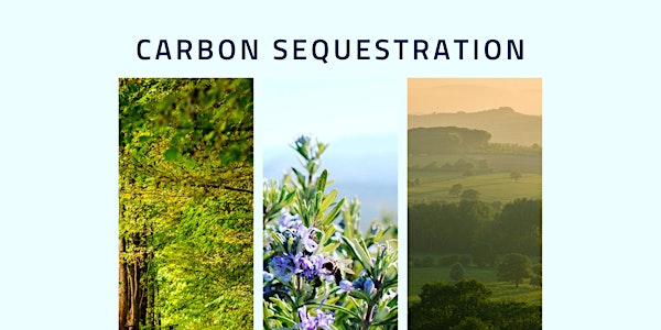 Webinar cycle #2 | Carbon Sequestration