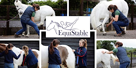 EquiStabilising Exercises – Practical AFTERNOON COURSE for Horse Owners tickets