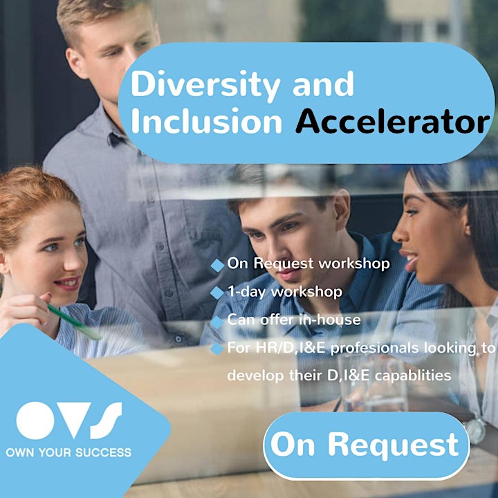 Diversity and Inclusion Accelerator image