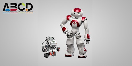 Immagine principale di Robotica educativa e coding per inclusione - Piloting test con ragazzi disabili nel progetto EDUROB - Federica Brigandì, Fiorella Operto 