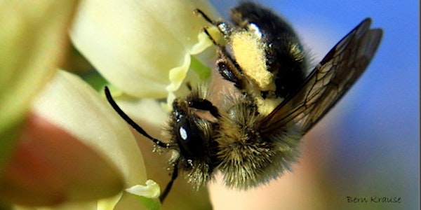 Texas Pollinator PowWow