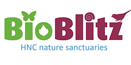 Bioblitz at HNC's Short Hills Nature Sanctuary