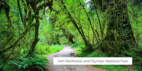 Plan Your Trip to the Olympic Peninsula & Hoh Rainforest: Pacific Northwest tickets