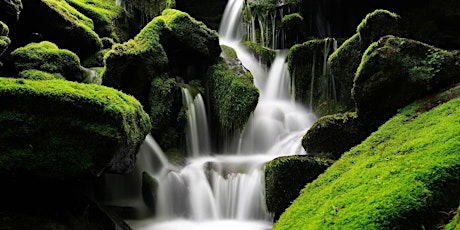 4Season Waterfall  Journey (Poconos - Full Day)