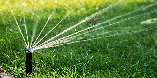 Getting to Know Your Sprinklers