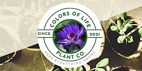 Colors of Life Plant Pop Up at FM Kitchen & Bar - Shepherd tickets