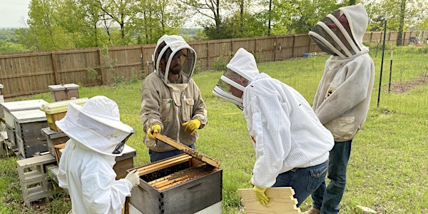 Hands-On Beekeeping Workshop