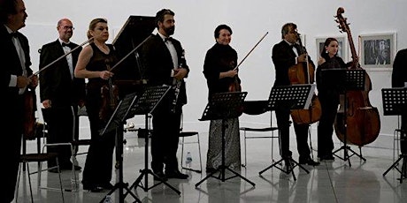 Imagen principal de Concierto del Sonor Ensemble en la Academia de Bellas Artes de San Fernando