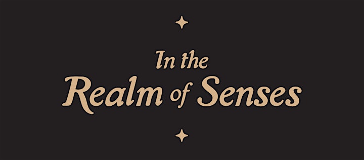 In The Realm Of Senses Presents: Fundraiser for Ukraine image