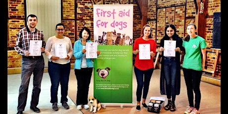 Canine First Aid Course Raynes Park London primary image