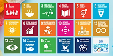 SDG Nederland - Route 2030 | De Duurzame Ontwikkelingsdoelen  als kompas tickets